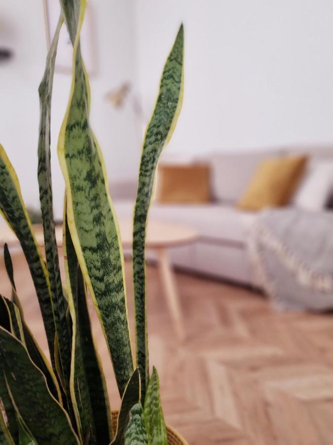 Cozy Apartment In The City Center Γρανάδα Εξωτερικό φωτογραφία